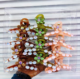 Impression Pack of 12 Pcs Pearl Style Hair Clutcher Beads Hair Clutcher Plastic Hair Clutcher